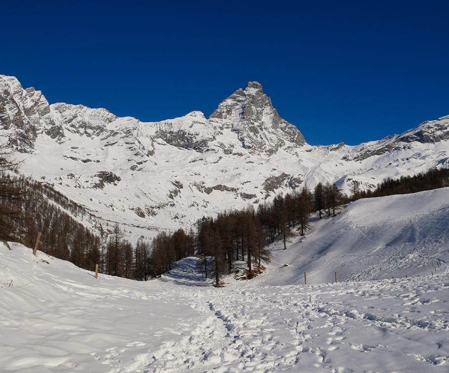 Paysage hivernal avec montagnes enneigées et ciel bleu clair.