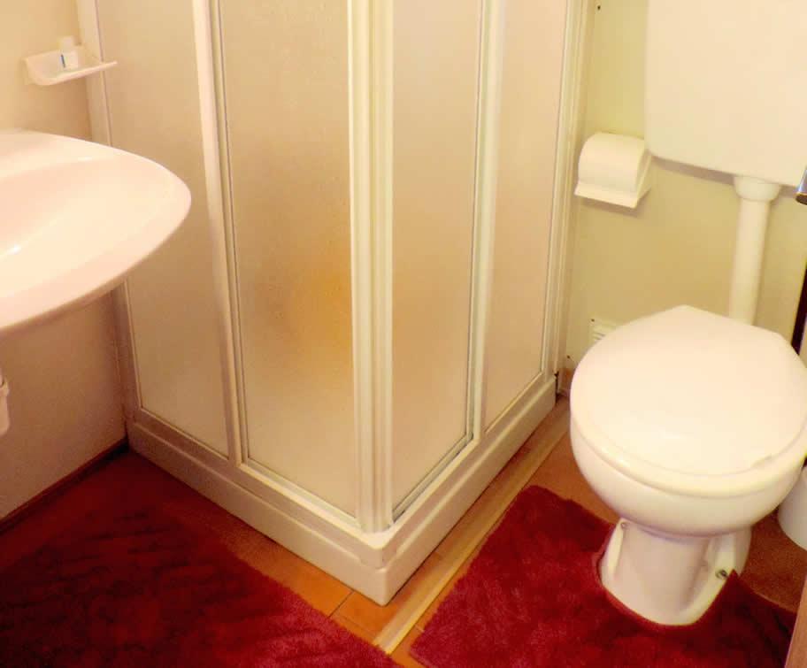 Salle de bain avec douche, lavabo, WC et tapis rouges.